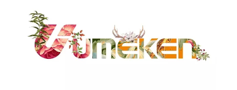 UMEKEN CHINA